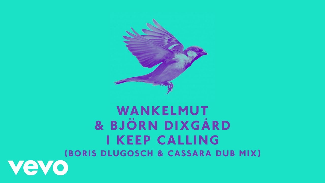 Wankelmut, Björn Dixgård - I Keep Calling (Boris Dlugosch & Cassara Dub Mix)