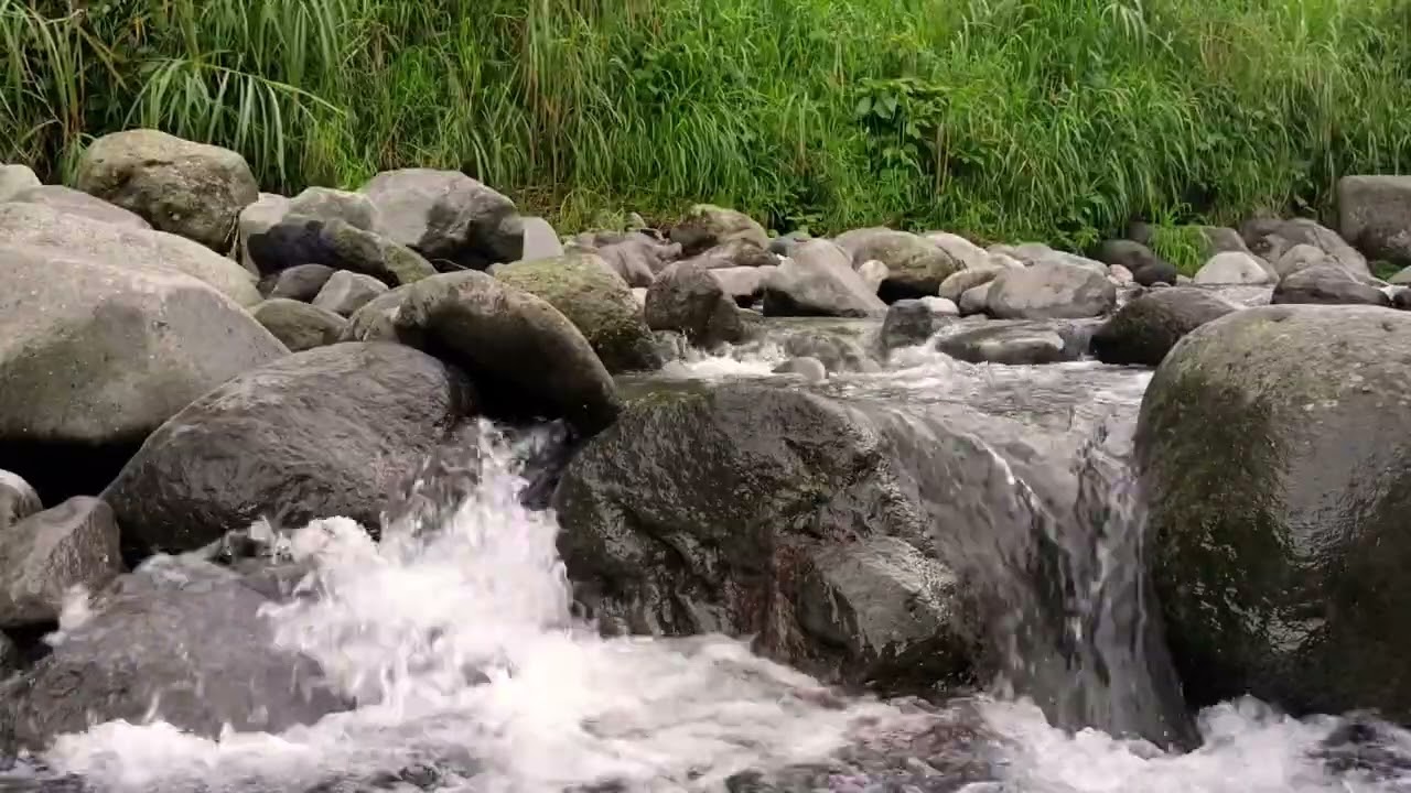 Forest River Sounds for Sleeping