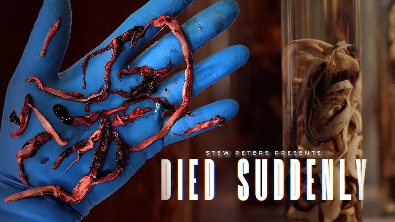 DIED SUDDENLY - 2022 DOCUMENTARY ( NETFLIX ) FULL MOVIE ENGLISH HD