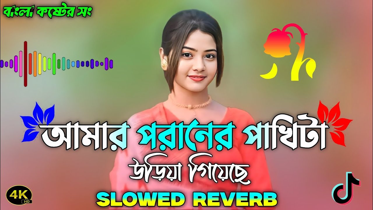 আমার পরানের পাখিটা উড়িয়া গিয়েছে Amar Poraner Pakhi ta Uriya Giyace ( Slowed Reverb ) Bangla Lofi Gan