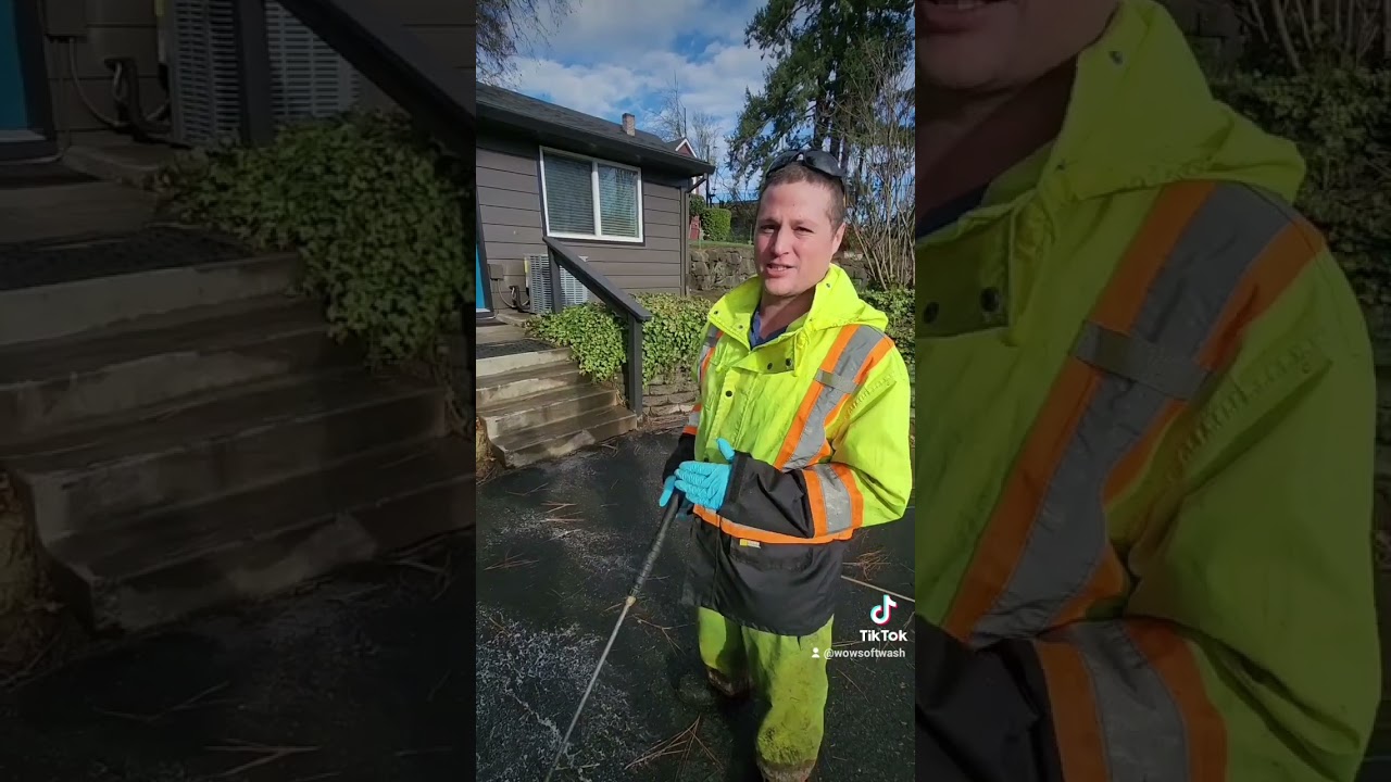 Step-by-Step Guide to Safely Clean Moss Off Brick Retaining Walls
