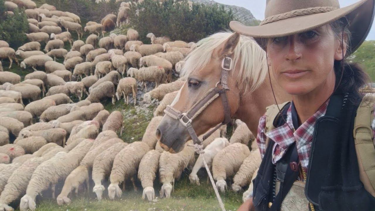 La transumanza