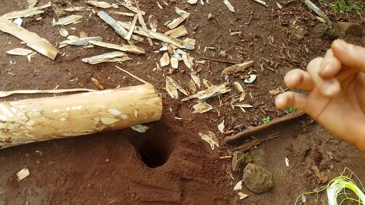 Como fazer minha Horta (parte 3)