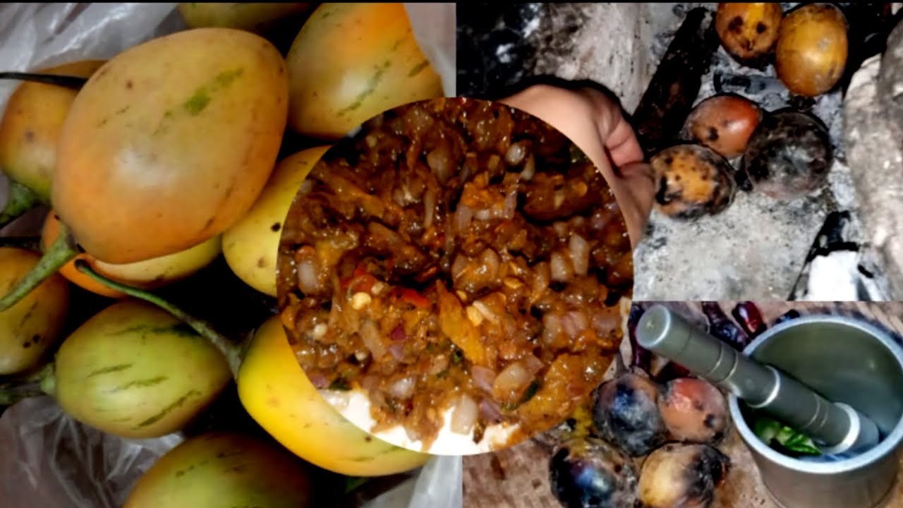 Tamarillo with Dry Fish Chutney/ How to make Tree Tomatoes Chutney/Soh Baingon dieng @sarahsangma
