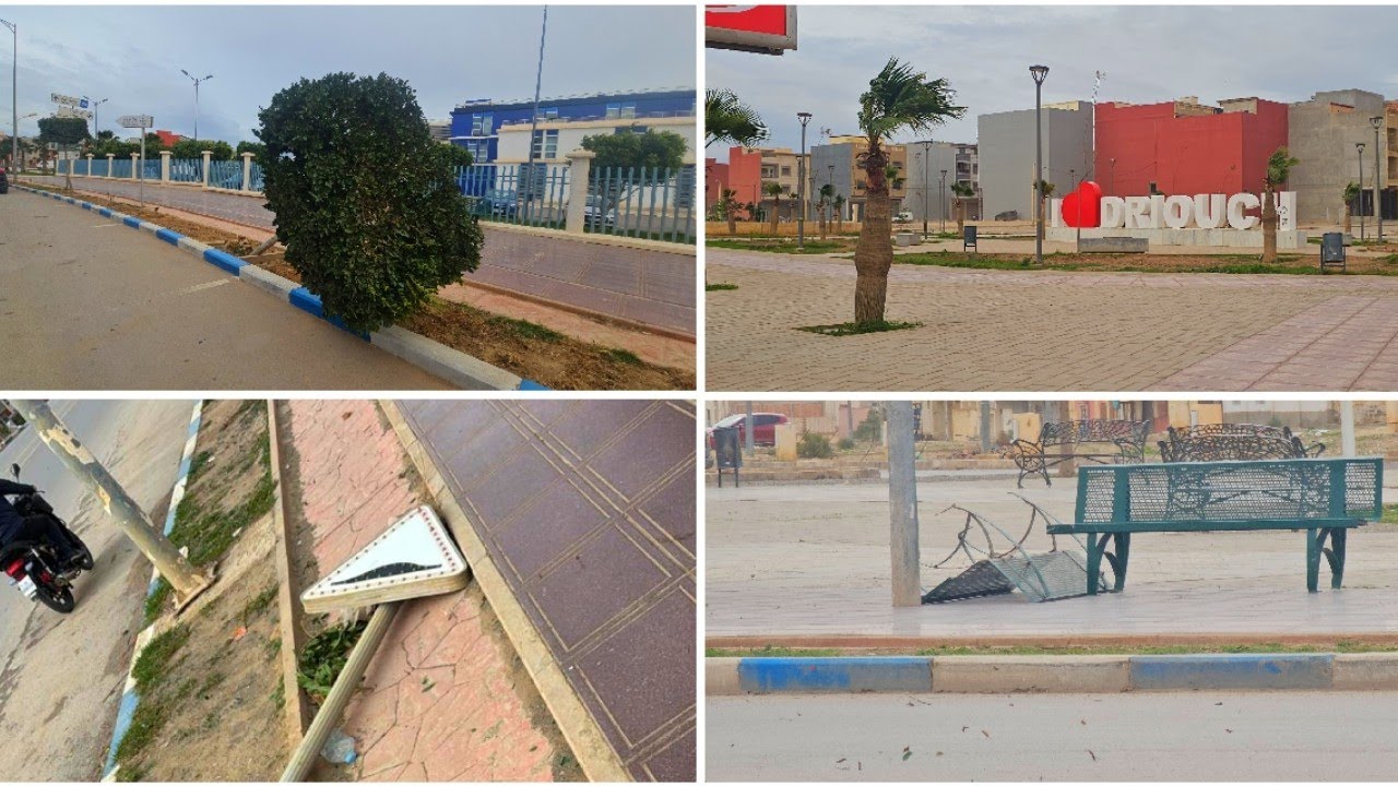 رياح قوية تضرب الدريوش وتقتلع الأشجار وعلامات التشوير | شاهدوا