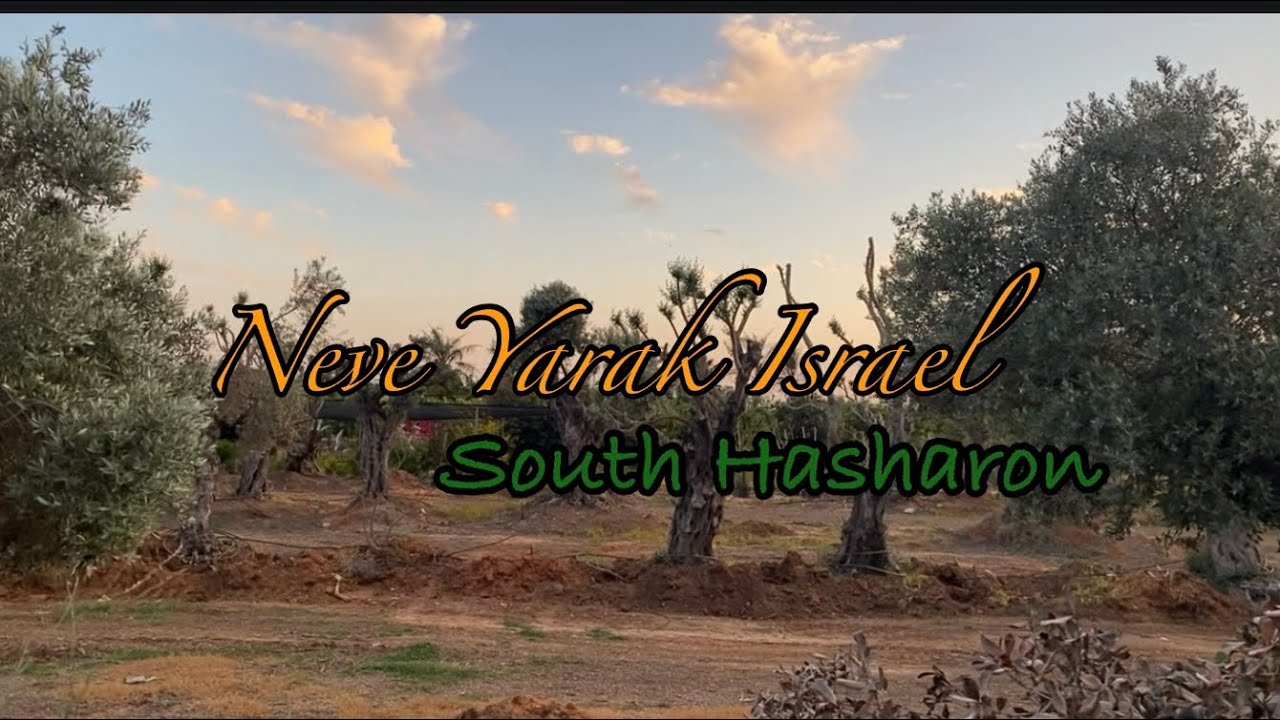 Neve Yarak Escapade|Junction South Hasharon Israel @iamgee1021