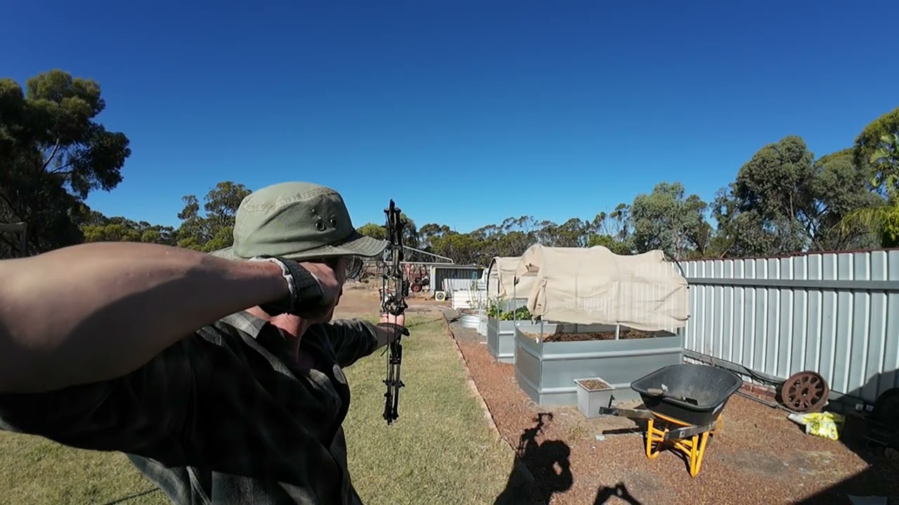 The learning continues, as we enter the world of bow hunting