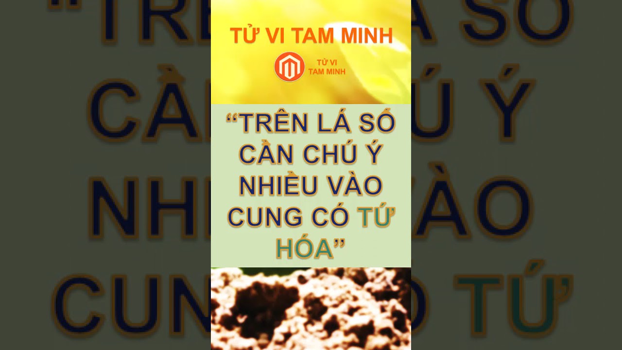 CẦN CH&Uacute; &Yacute; NHIỀU V&Agrave;O CUNG C&Oacute; TỨ H&Oacute;A TR&Ecirc;N L&Aacute; SỐ #shorts