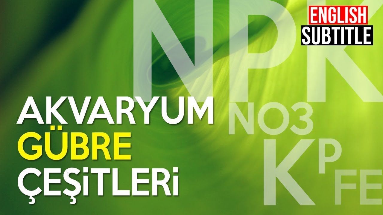 Bitkili Akvaryum Sıvı Gübre Özellikleri ve Kullanımı Hakkında