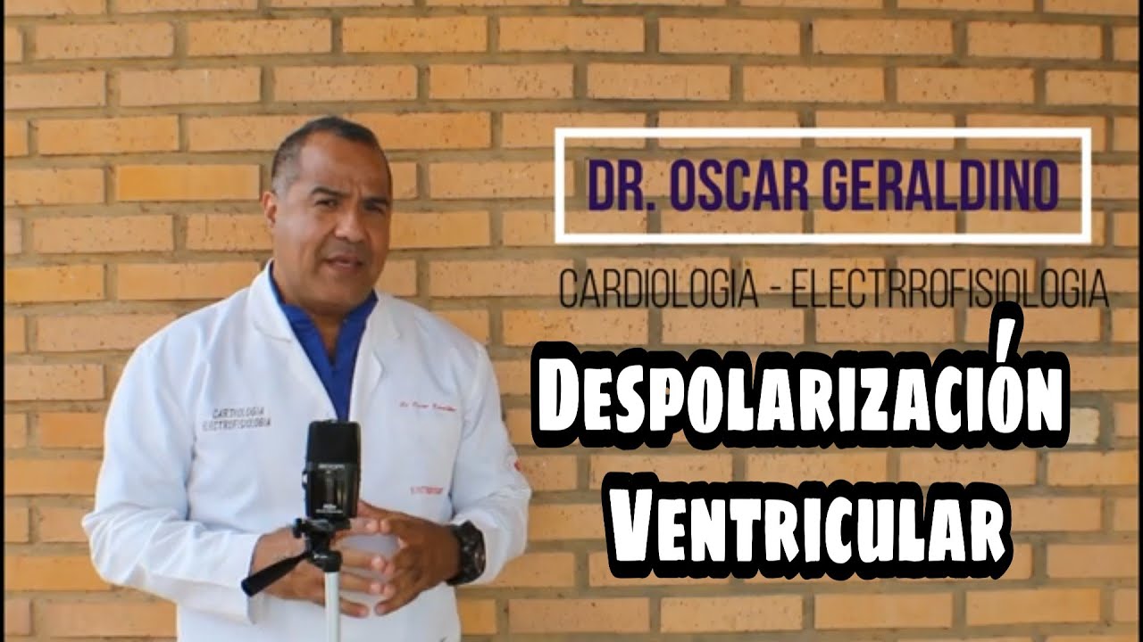 Despolarización y Repolarización Ventricular. Vectores!