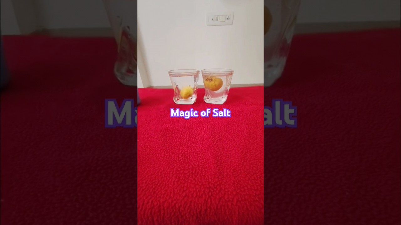What a Simple Salt can do #science #reels #trendingsong #funny #creative #video #tricks #hack