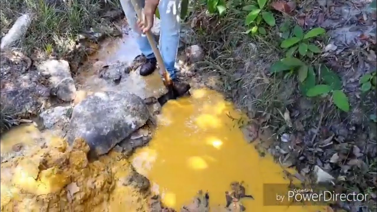 Areia AMARELA que tem OURO