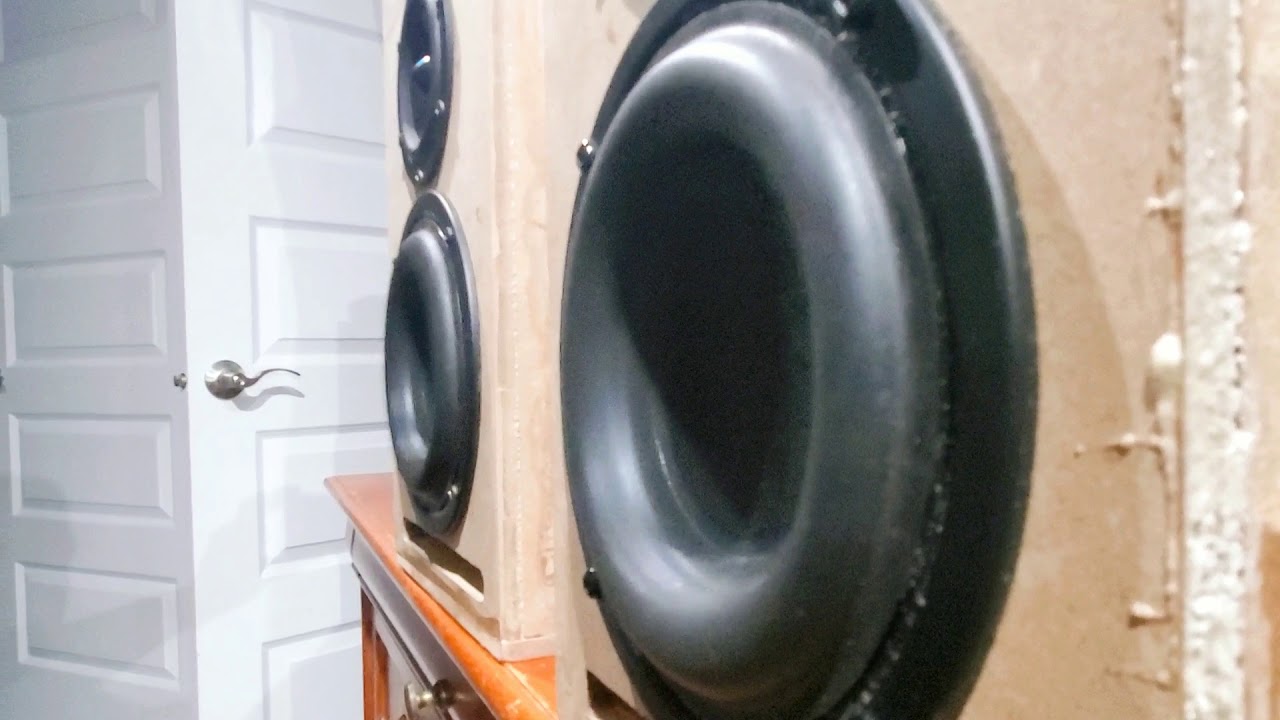Tang band W5 INCREDIBLE EXCURSION