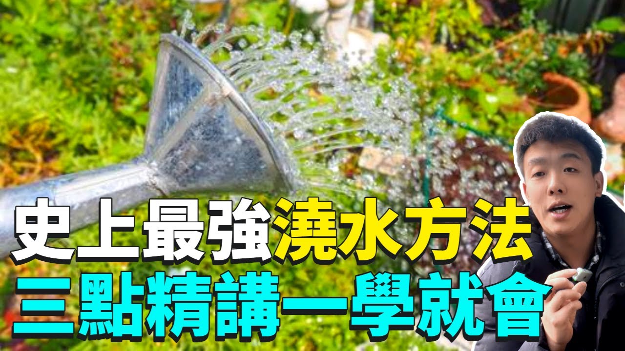 你會澆水嗎？教你史上最強的澆水方法，這3個澆水的秘密99%的人都不知道！|禪藝綠植工作室