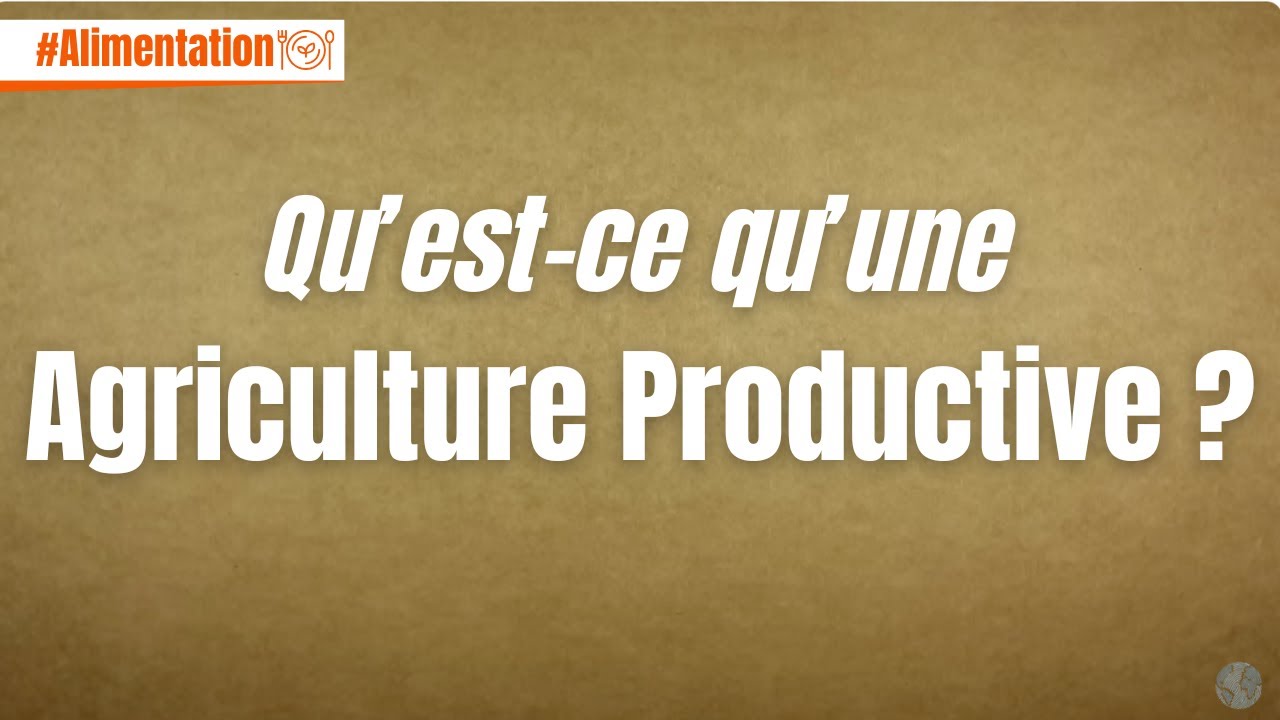 Qu'est-ce qu'une agriculture productive ?