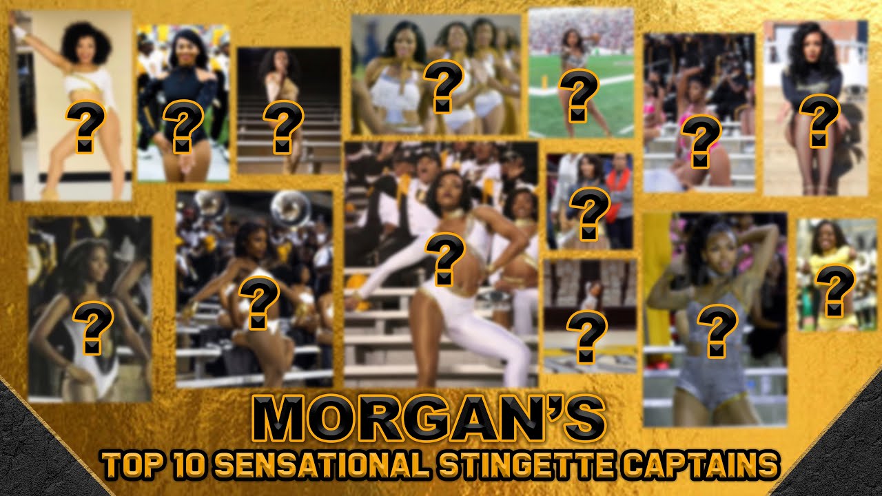 Morgan’s Top 10 Sensational Stingette Captains | Sensational Stingettes 💛🖤🐝