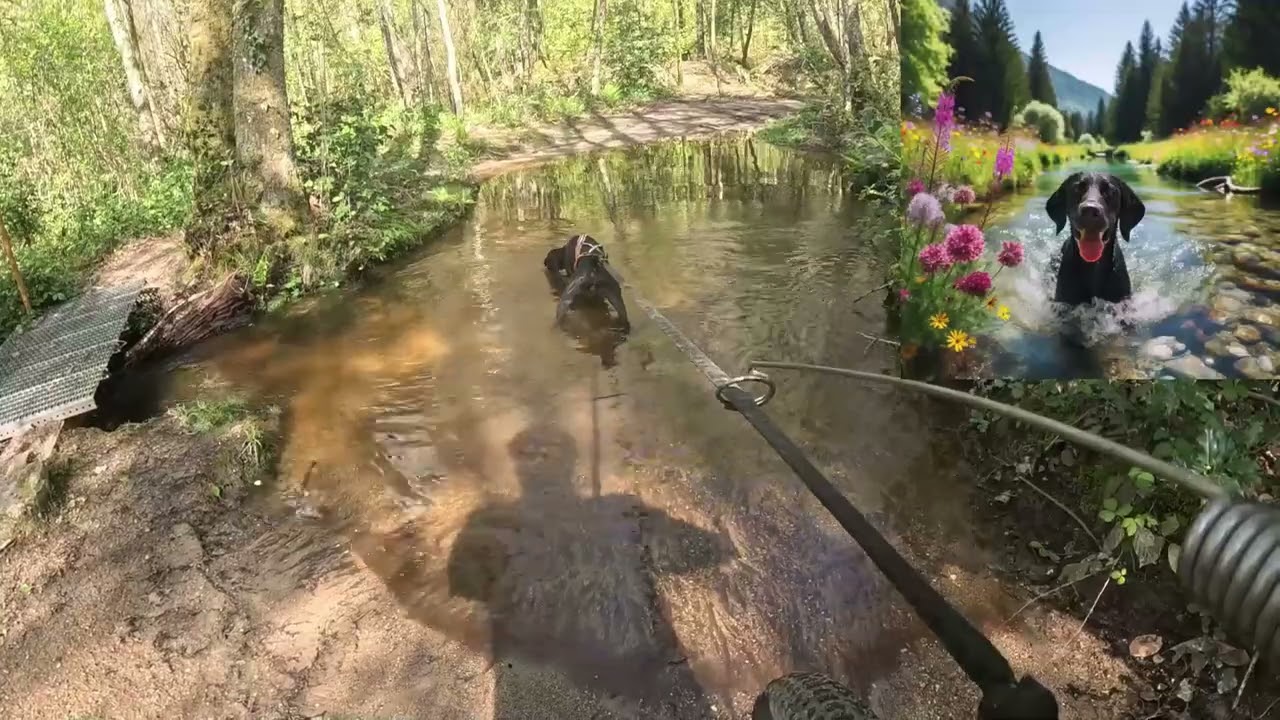 Reco du 11 km du Canitrail des Gendarmes et les Voleurs de Temps