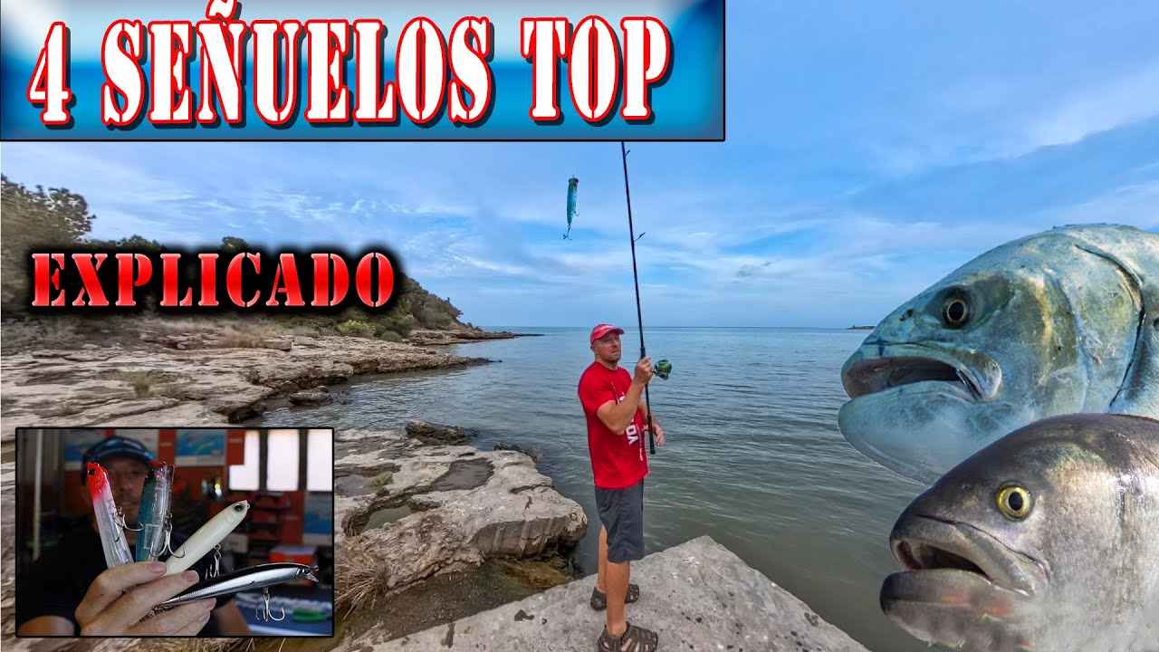 4 Mejores tipos de señuelo para pescar, palometon y anjova, como se mueven, como se usan y donde