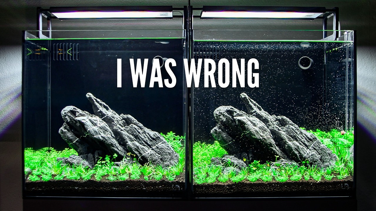 I grew Aquarium Plants without CO2 for 30 Days