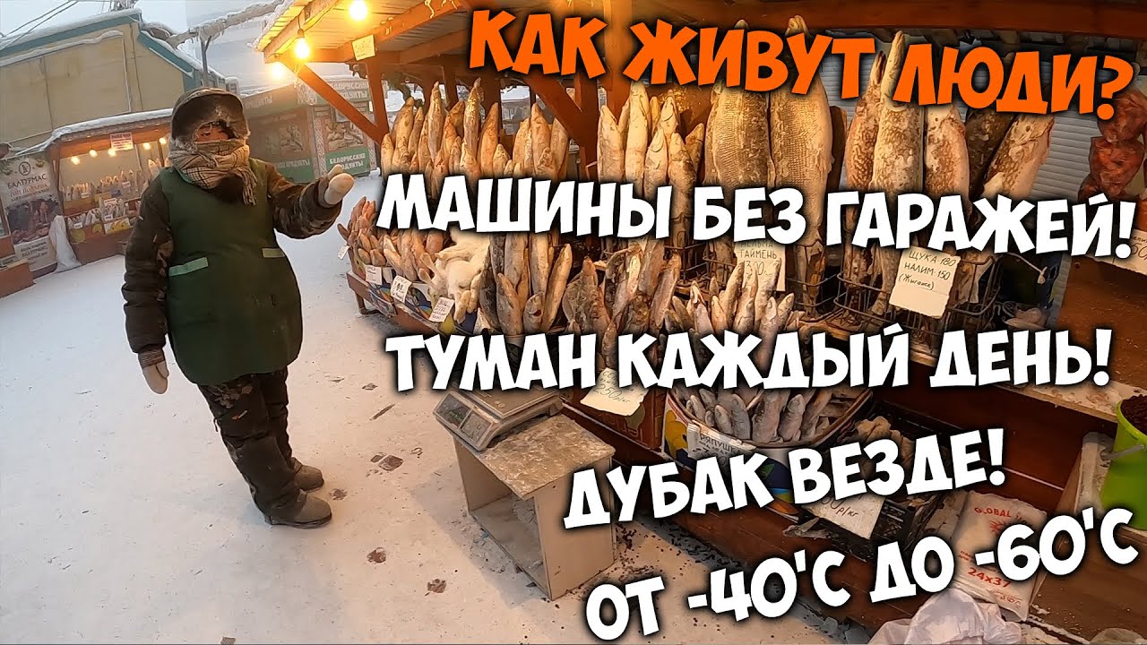 Как живут люди в самом холодном городе на планете!