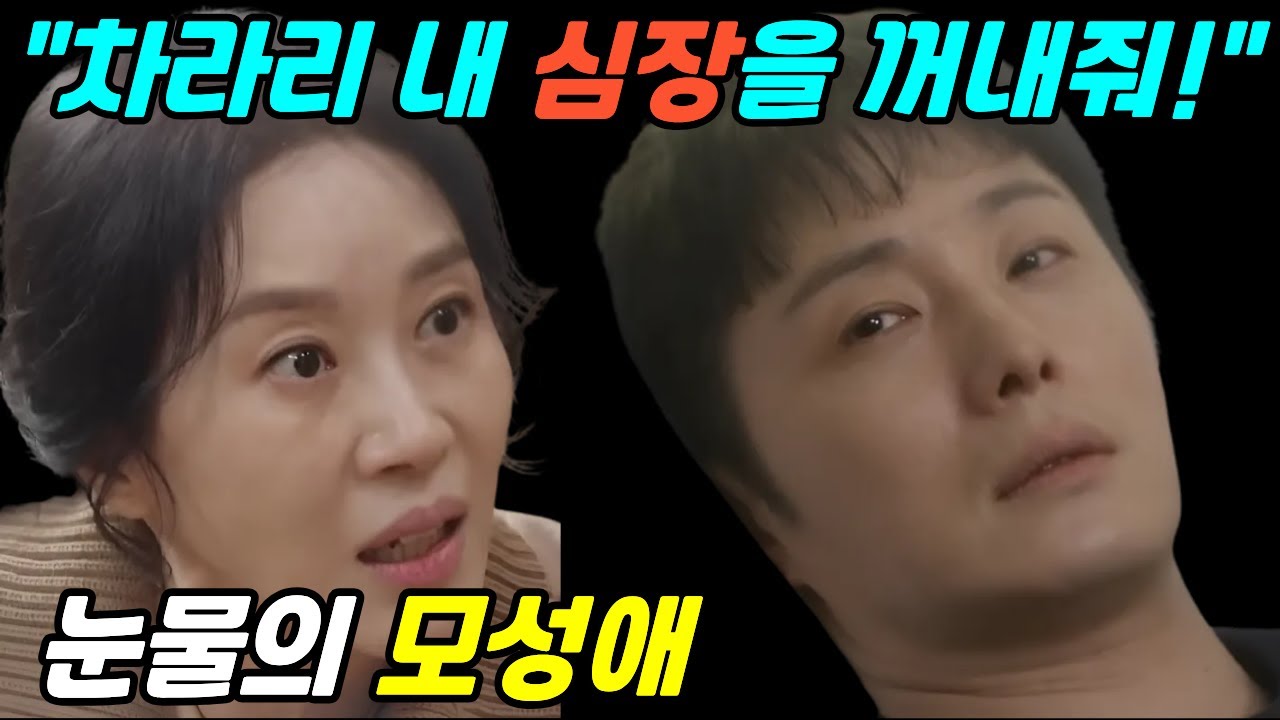 [화려한 날들] 