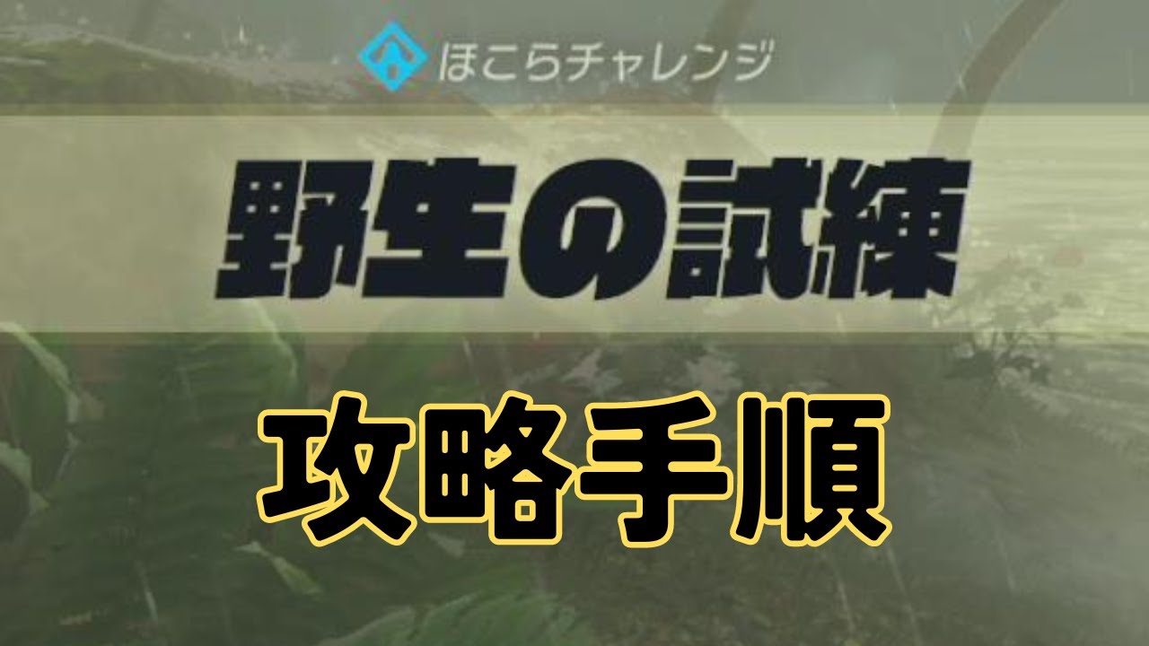 【ゼルダの伝説】野生の試練 攻略手順【ブレス オブ ザ ワイルド】#113