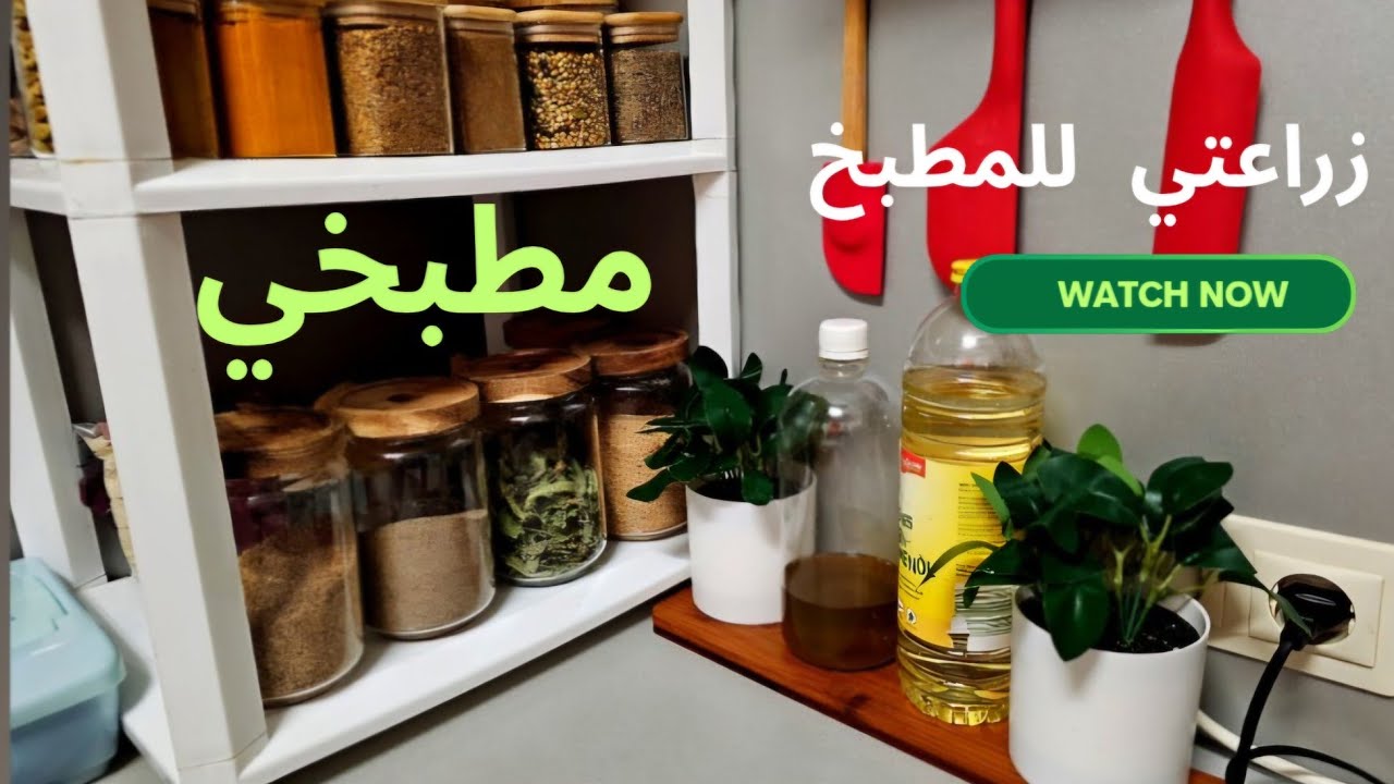 طريقة الزراعة للمطبخ  .  ماذا نزرع في شهر يناير  للمطبخ  .