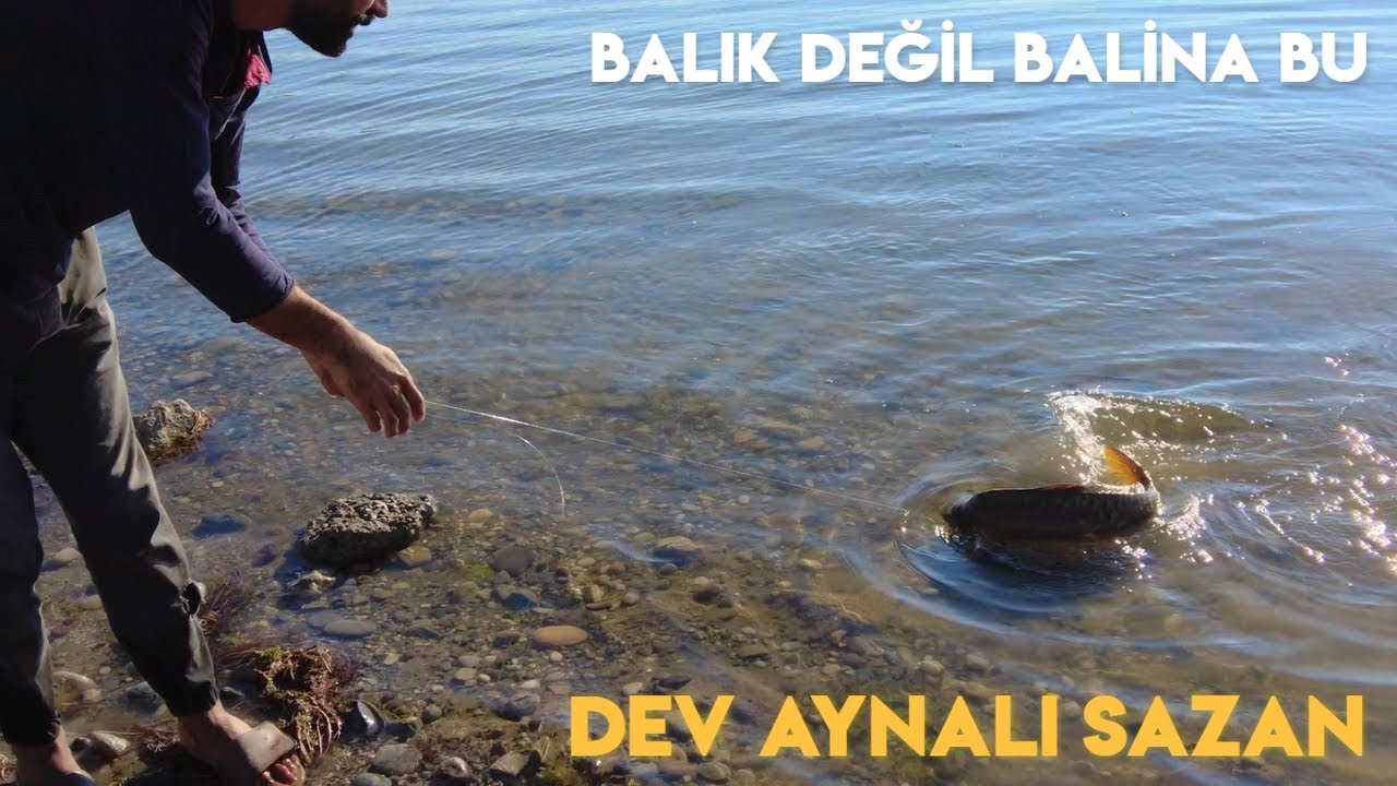 EL OLTASI İLE TROFE SAZAN AVI | KASNAK OLTA İLE BALIK AVI