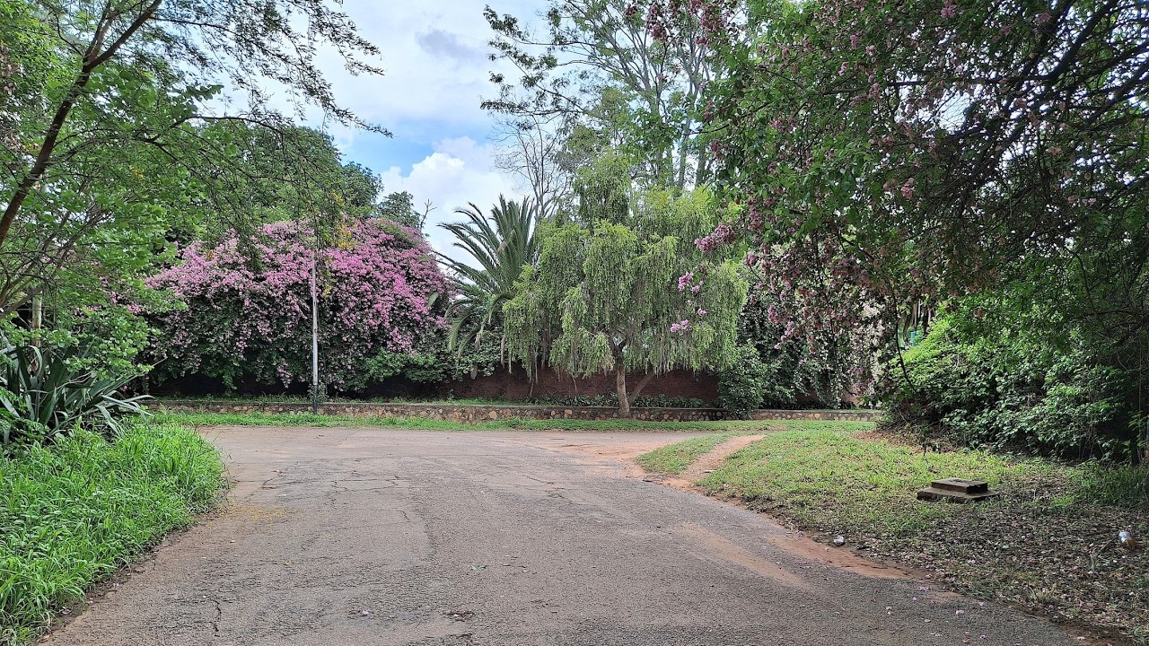 A perfect weekend in Bulawayo