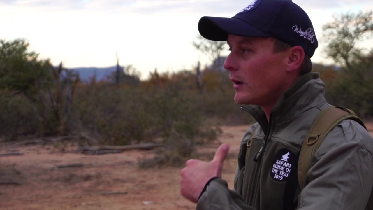 Safari Guide of the Year 2019 Day 4 Morning Game Drive & Guided Walk
