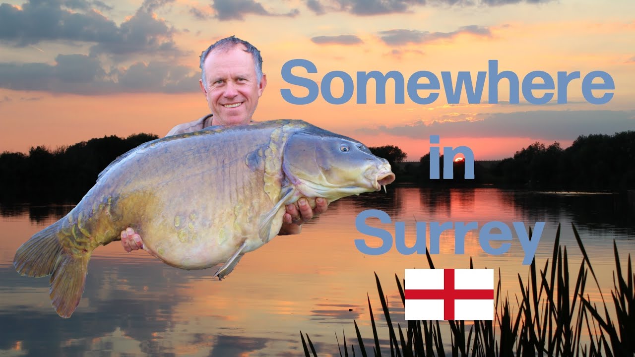 Carp Fishing - Somewhere In Surrey