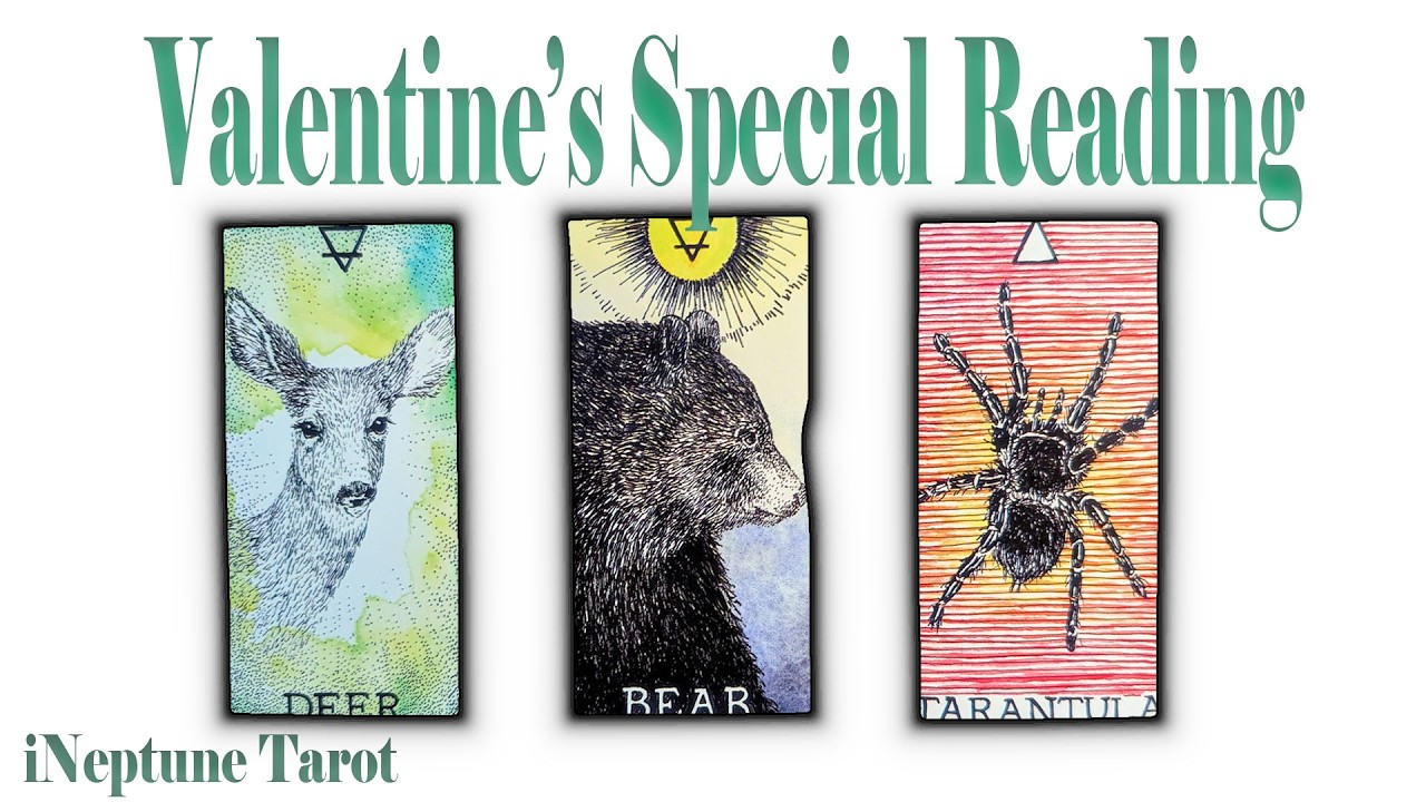 VALENTINE’S & ANNIVERSARY SPECIAL 💘 YOUR LOVE LIFE READING 🌊 Pick a Card Tarot (Timeless)