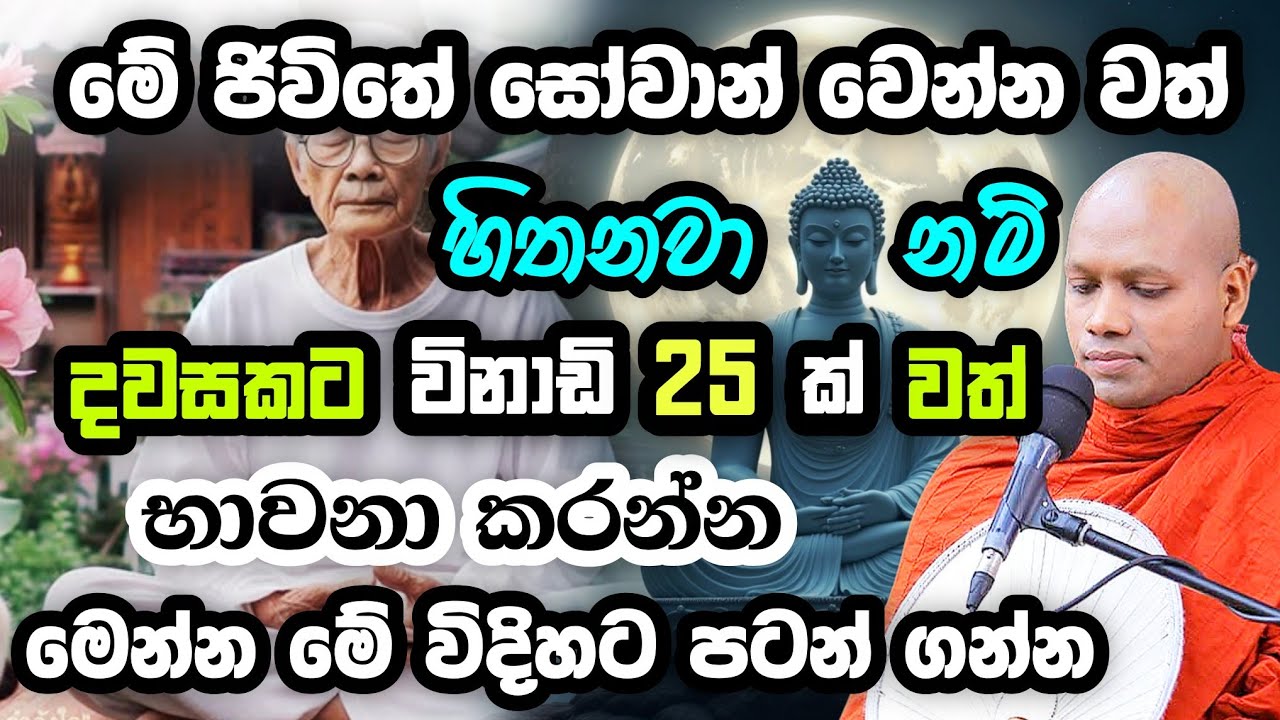 දවසකට විනාඩි 25 ක්‌ මේ භාවනාව කරන්න  | හසලක සීලව | Hasalaka Seelawimala | #hasalakaseelawimalathero 