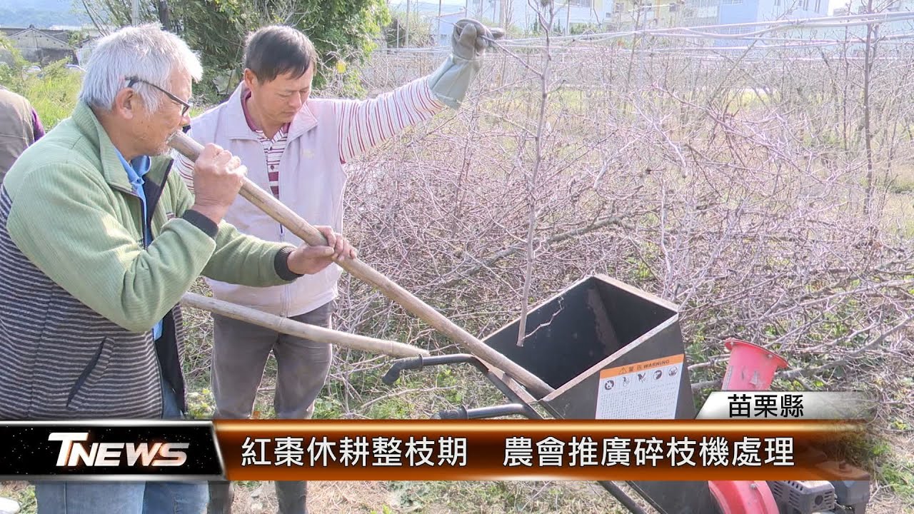 紅棗休耕整枝期  農會推廣碎枝機處理│T-NEWS聯播網