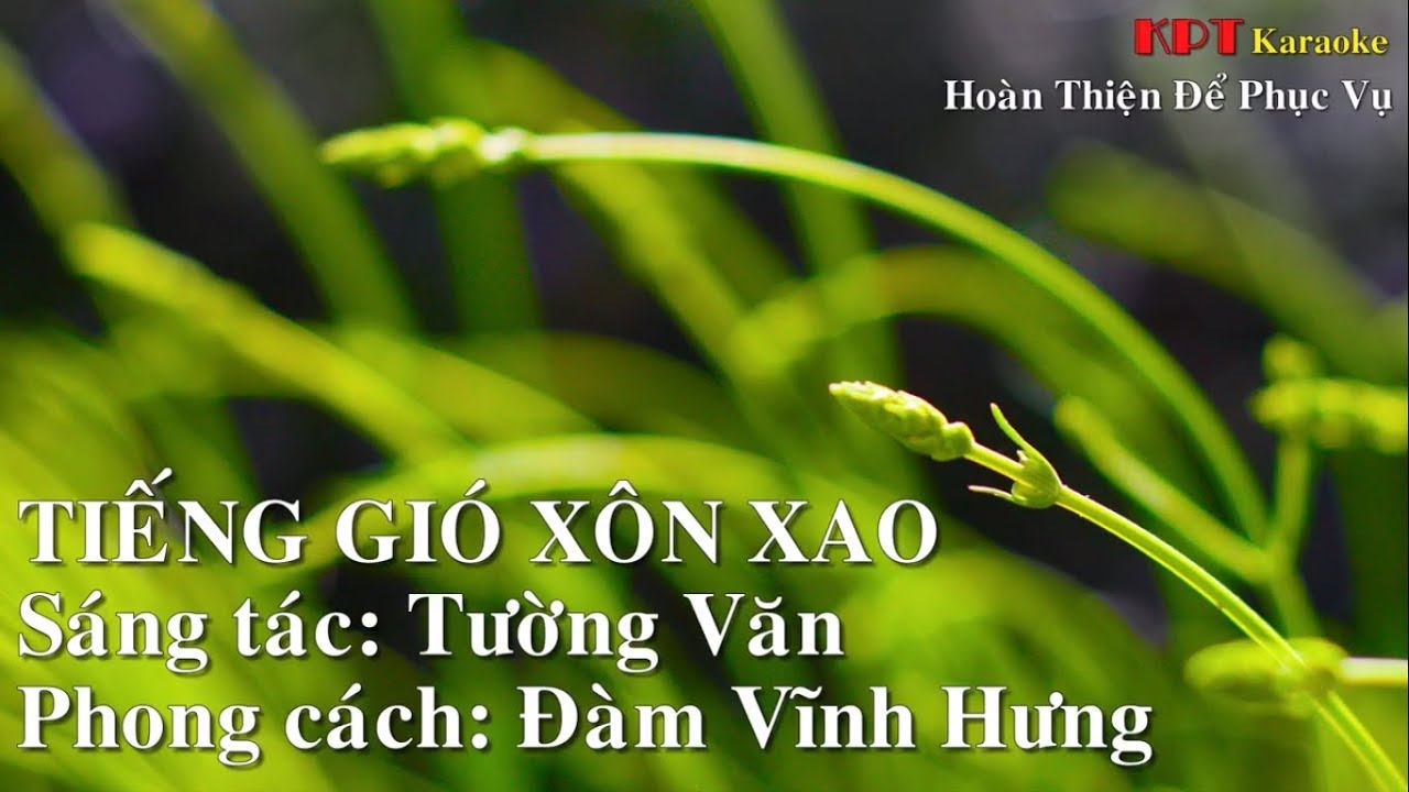 Tiếng Gió Xôn Xao Karaoke Beat HD Chuẩn - Đàm Vĩnh Hưng - [KPT Karaoke 1]
