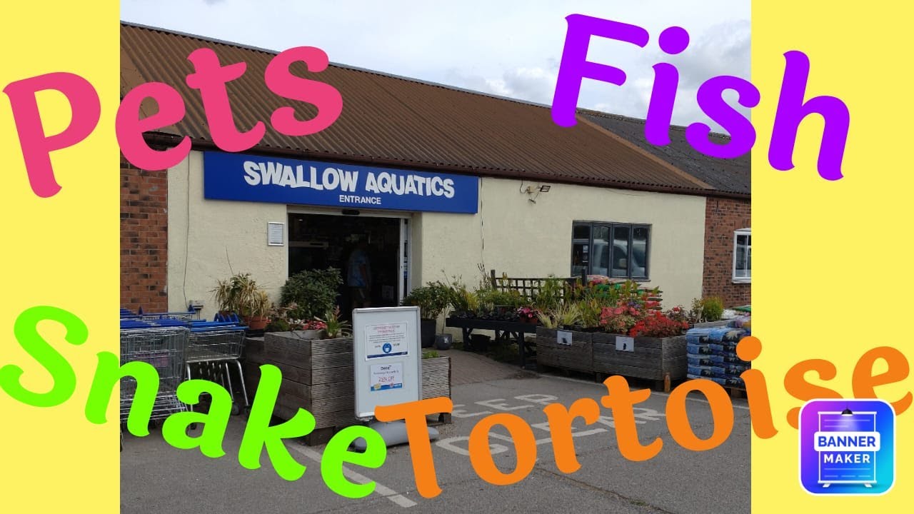 East Harling Swallow Aquatics Fish Reptiles Pets Animals shop Farm #animals #reallife #walkthrough