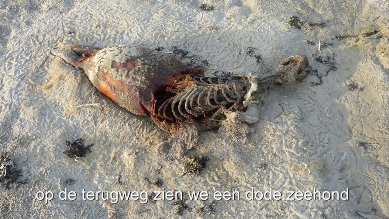 019 Engelsmanplaat 26 27 juli 2016