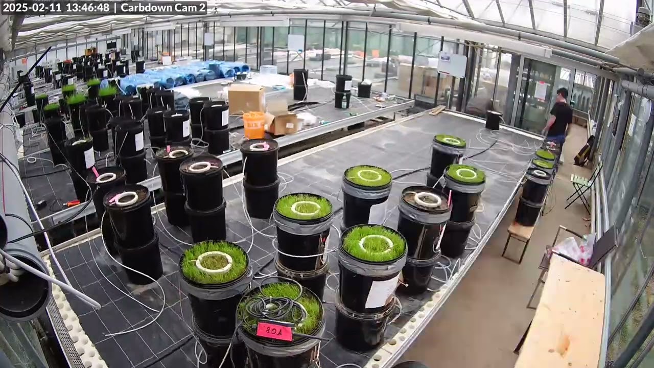 Dismantling the old greenhouse experiment for enhanced weathering of Carbon Drawdown Initiative