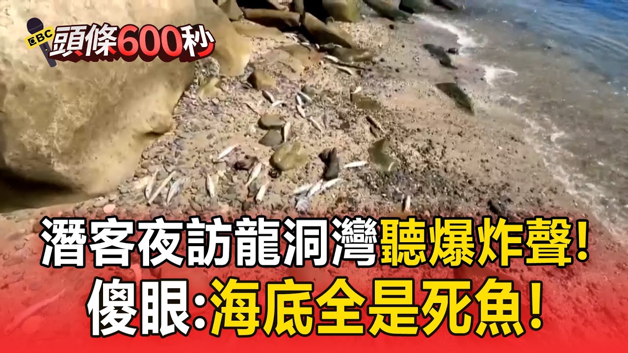 【頭條600秒】潛客夜訪龍洞灣「海底全是死魚」！聽見爆炸聲：砰一聲！聲音很大