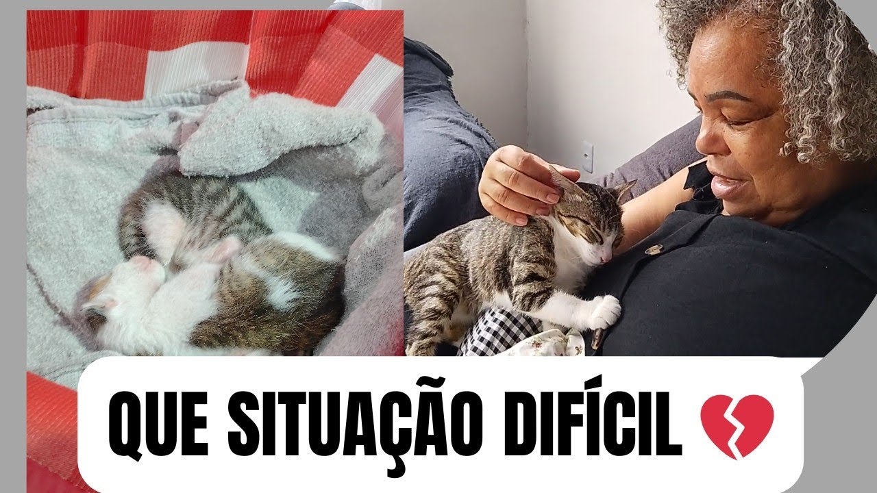 Que situação difícil , já chorei muito 💔