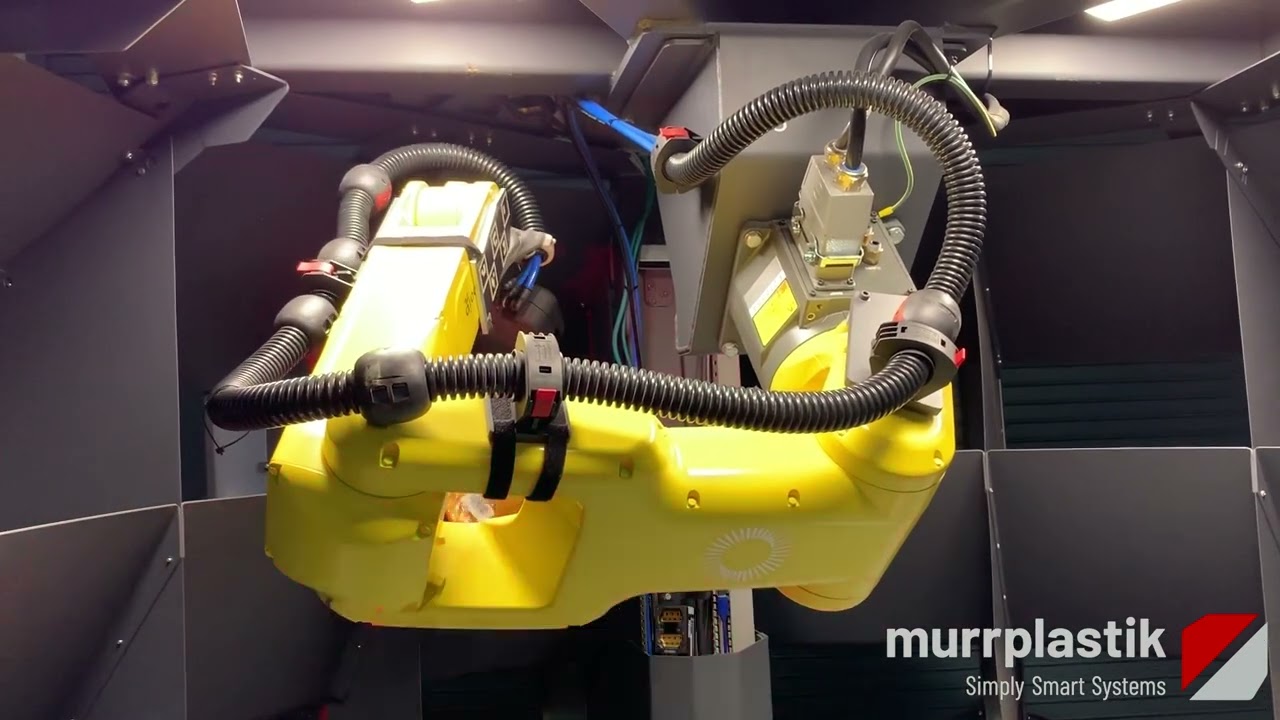 Enhancing Efficiency with Custom Cable Management by Murrplastik: Sorting Robot Application