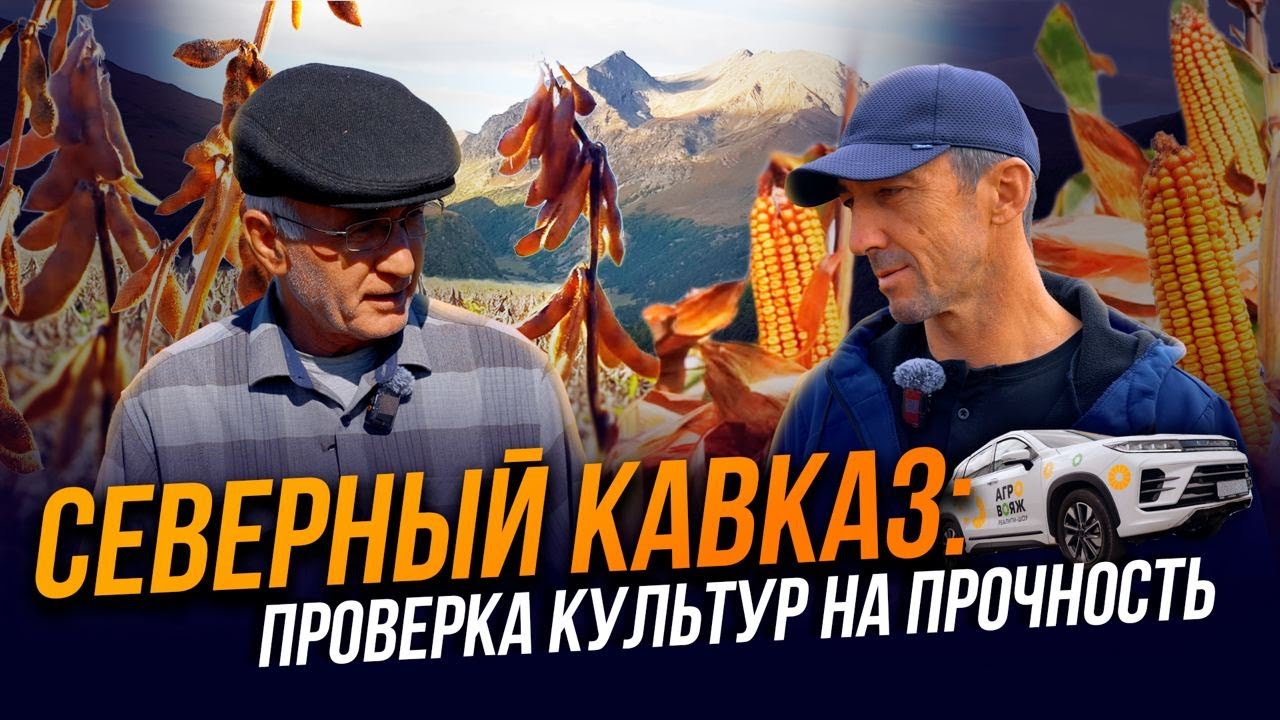 Какие урожаи получают на Северном Кавказе? | Выращивание кукурузы и сои | Агро тревел-шоу | АгроВояж