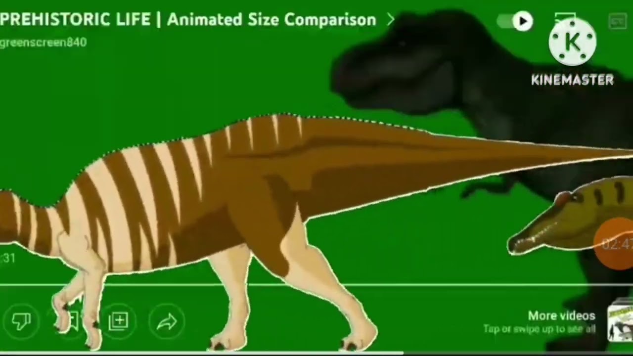 animals