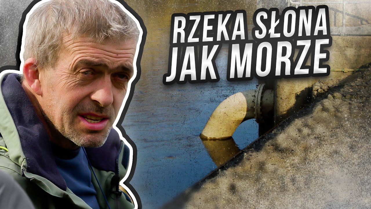 Odra słona jak Bałtyk! Katastrofa z 2022 roku może się powtórzyć?