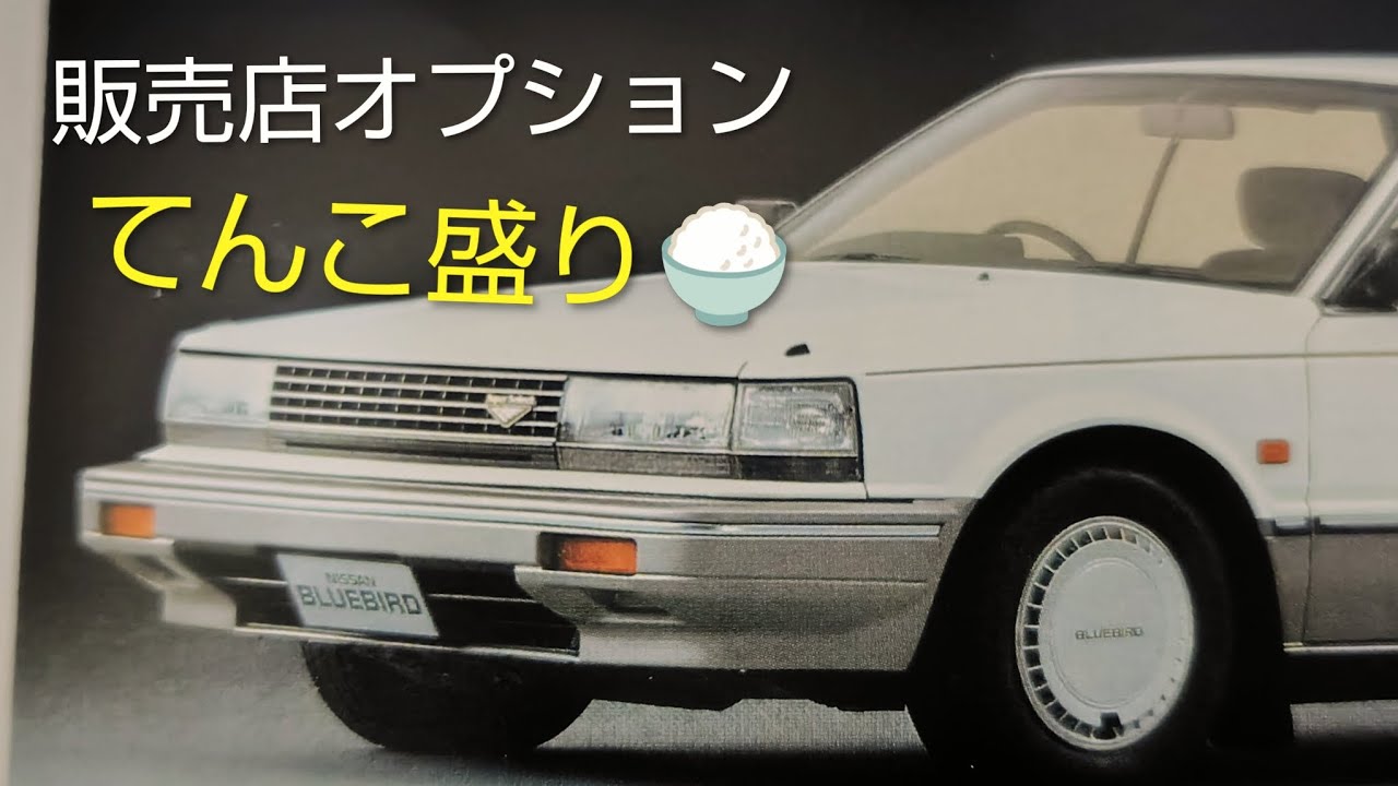 U11ブル後期　中間グレードよりやや上級マニア様必見　てんこ盛り🍚バイヤーズガイド📖