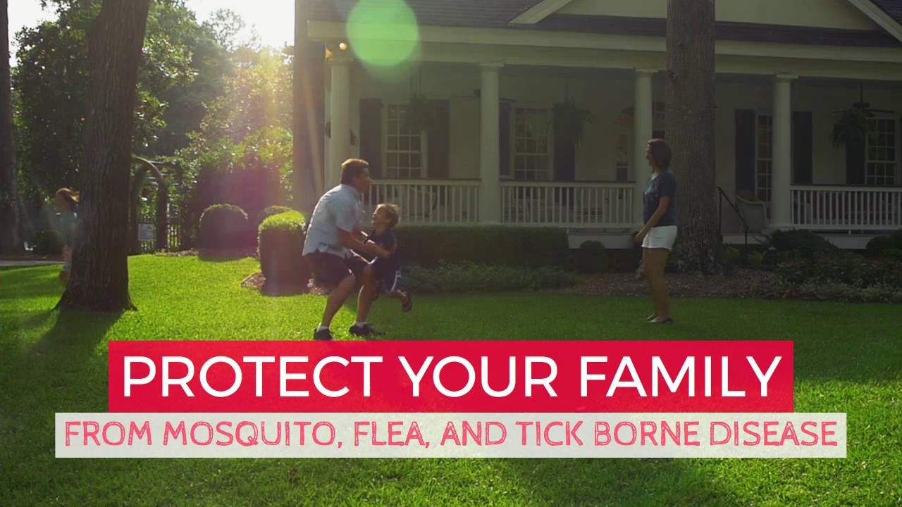 Mosquito Control Charlotte NC