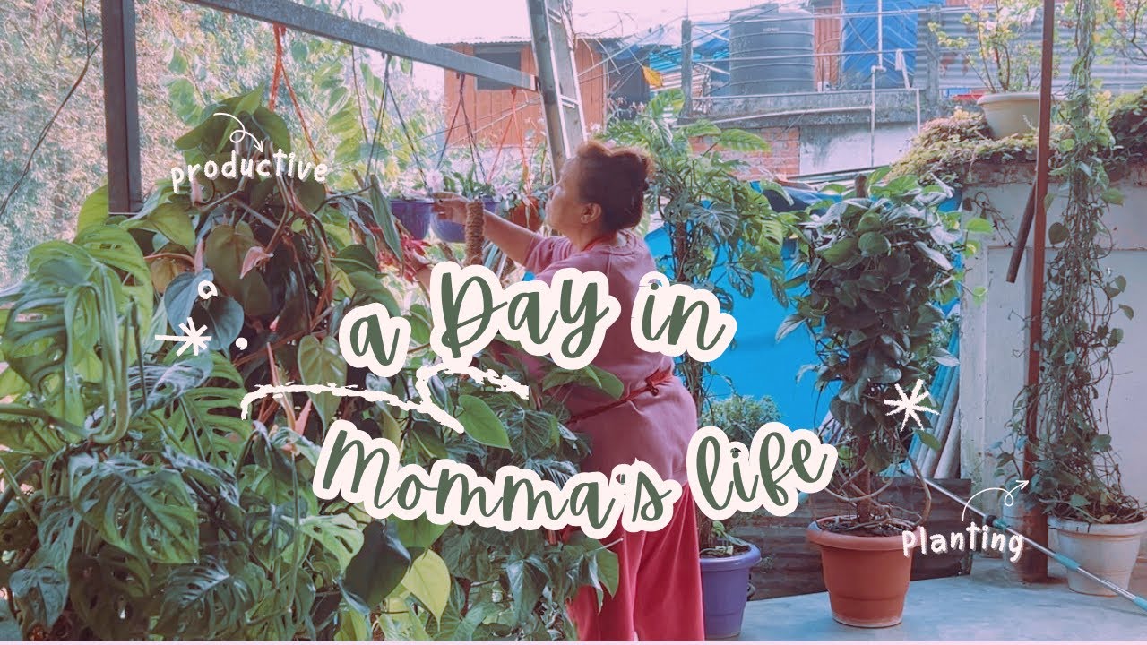 Living in India 🌿 || Slow living in the countryside|| #youtube #slowliving #silentvlog