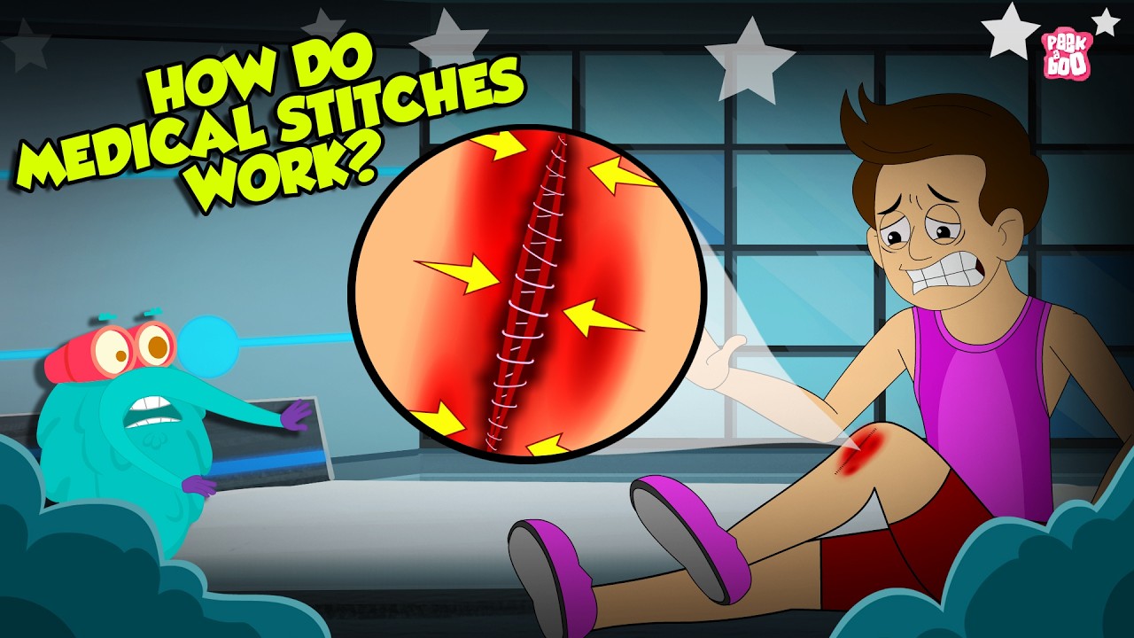 How Stitches Work? | Stitches Healing Stages | Sutures and Its Types | The Dr. Binocs Show