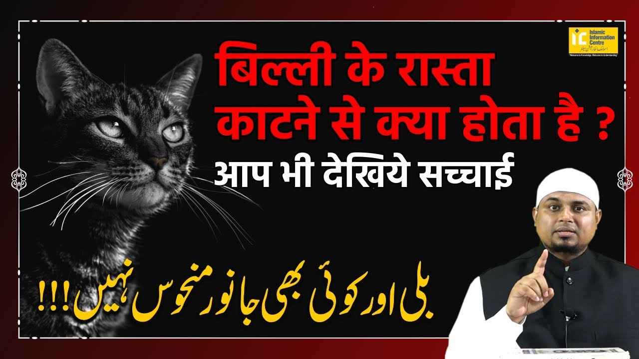 Billi Manhoos Nahi Hai | बिल्ली मनहूस नहीं है | Shaikh Sanaullah Madani