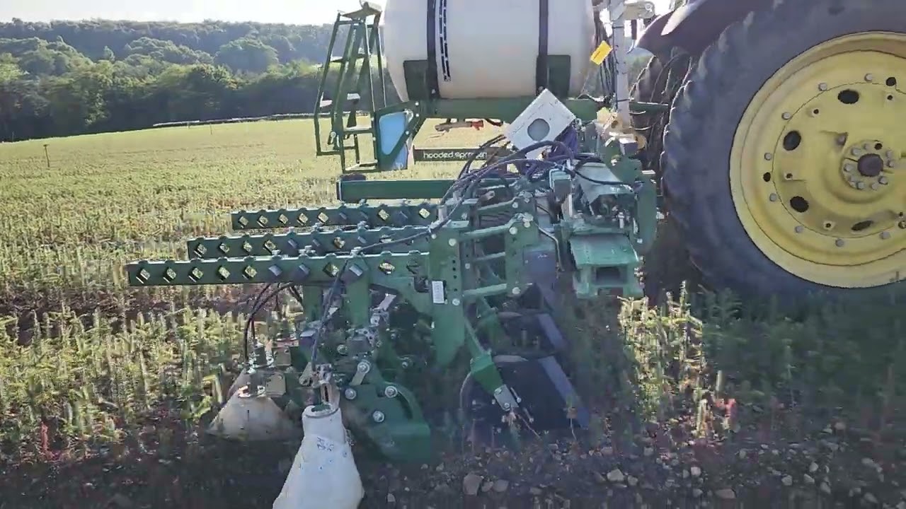 This sure beats weeding by hand! (Interrow Sprayer- Spraying Between Evergreen Transplants)